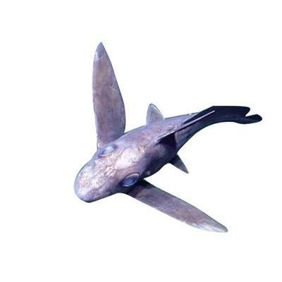 明日方舟幽靈鯊是什么鯊魚(yú)：《明日方舟》幽靈鯊在《明日方舟》中的設(shè)定與現(xiàn)實(shí)生物存在關(guān)聯(lián) 明日方舟幽靈鯊是什么鯊魚(yú)：《明日方舟》幽靈鯊在《明日方舟》中的設(shè)定與現(xiàn)實(shí)生物存在關(guān)聯(lián) 龍魚(yú)百科 第2張