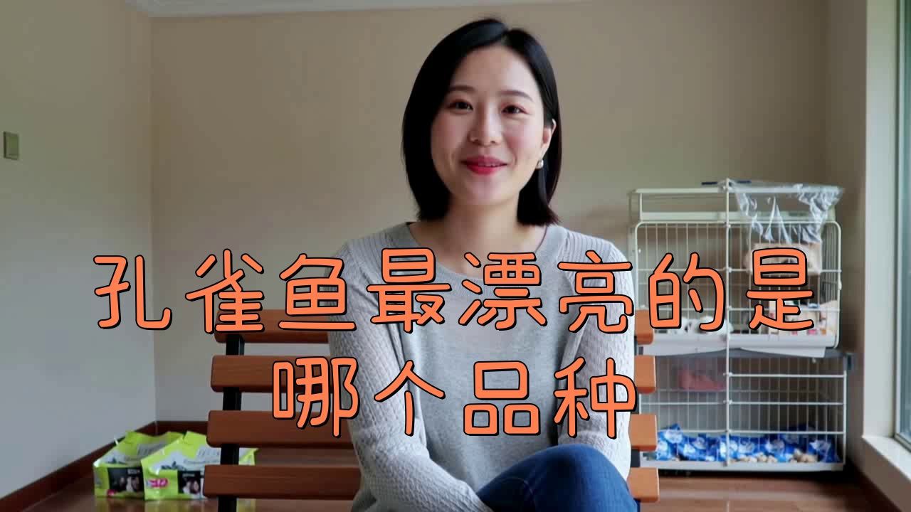 孔雀魚顏值排名：孔雀魚的顏值梯隊分析
