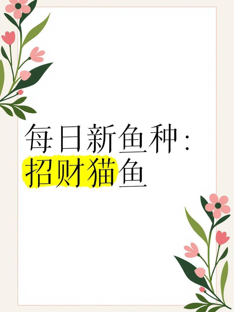 招財貓魚不用過濾可以嗎怎么養：招財貓魚無過濾飼養攻略