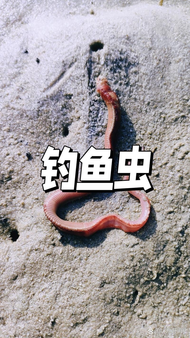 紅頭調魚圖片：潮汕油燜紅血魚 紅頭調魚圖片：潮汕油燜紅血魚 龍魚論壇 第3張