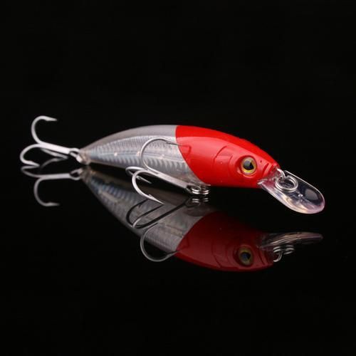 紅頭調魚圖片：潮汕油燜紅血魚 紅頭調魚圖片：潮汕油燜紅血魚 龍魚論壇 第20張