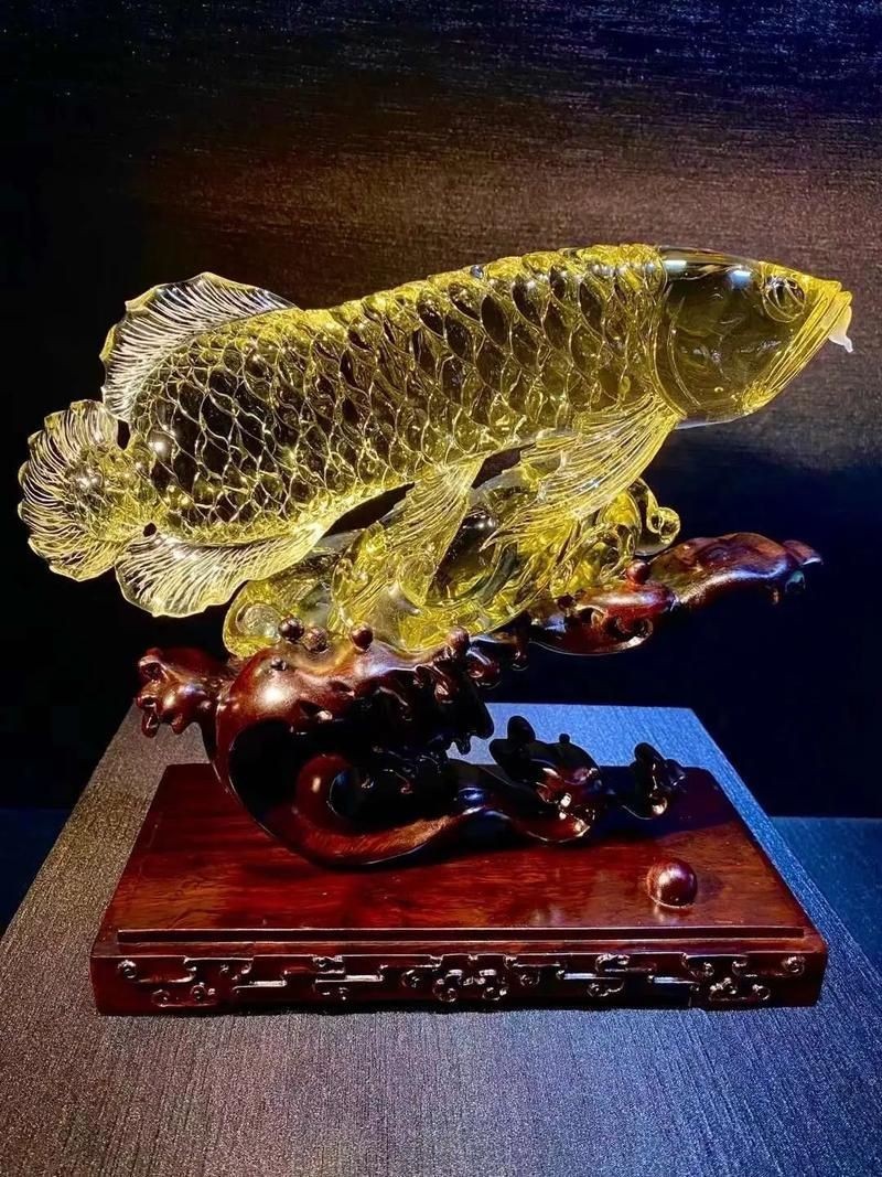 最貴龍魚圖片大全:世界上最貴的觀賞魚農情萬家紅龍魚500萬拍賣 龍魚百科 第18張 最貴龍魚圖片大全:世界上最貴的觀賞魚農情萬家紅龍魚500萬拍賣 最貴龍魚圖片大全:世界上最貴的觀賞魚農情萬家紅龍魚500萬拍賣 龍魚百科 第18張
