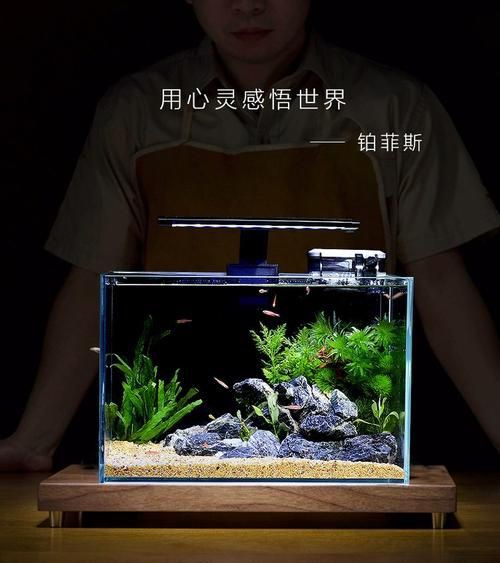 小魚缸圖片大全：奇文趣圖迷你小型魚缸品牌排行榜京東水族箱小缸品牌排行榜