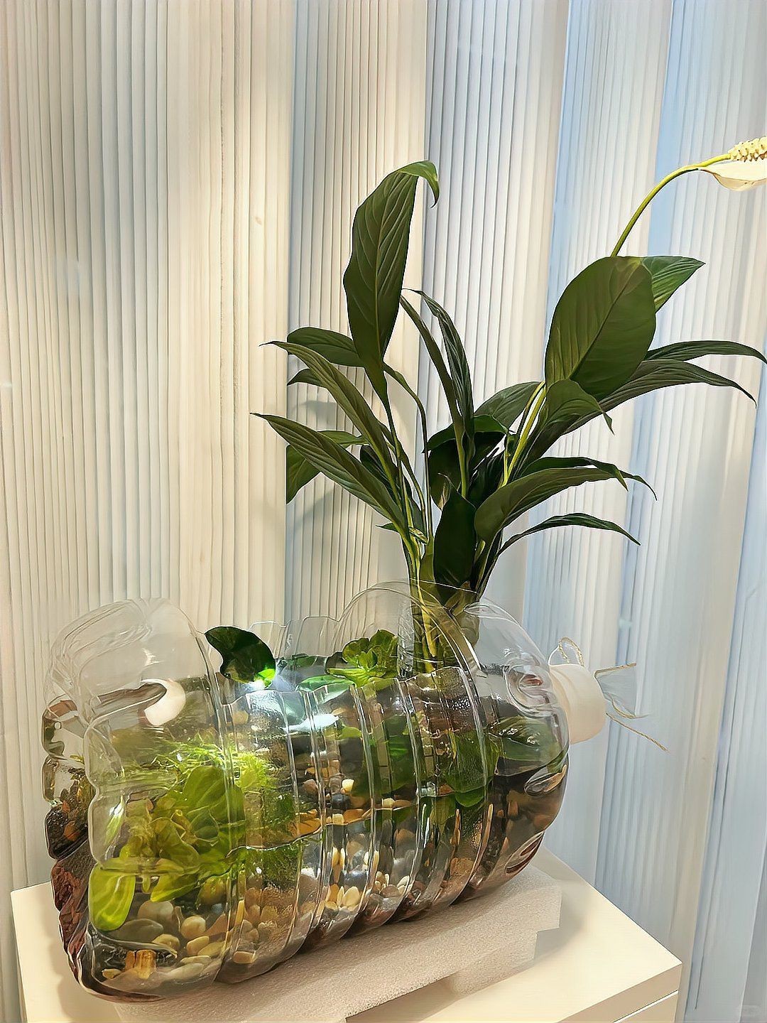 小魚缸圖片大全：奇文趣圖迷你小型魚缸品牌排行榜京東水族箱小缸品牌排行榜