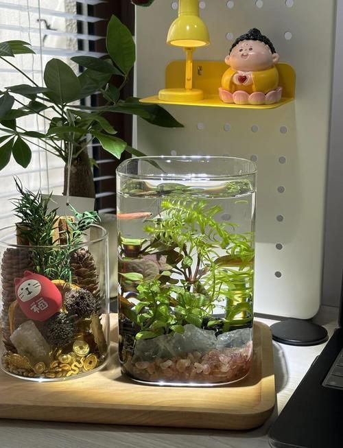 小魚缸圖片大全：奇文趣圖迷你小型魚缸品牌排行榜京東水族箱小缸品牌排行榜