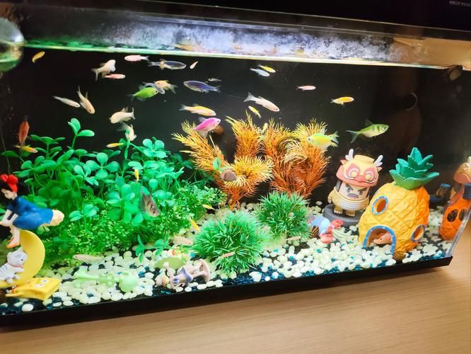 小魚缸圖片大全：奇文趣圖迷你小型魚缸品牌排行榜京東水族箱小缸品牌排行榜