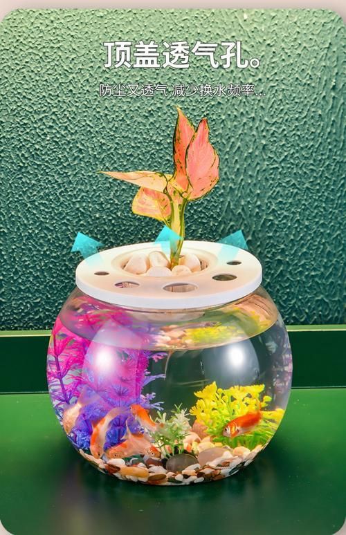 小魚缸圖片大全：奇文趣圖迷你小型魚缸品牌排行榜京東水族箱小缸品牌排行榜