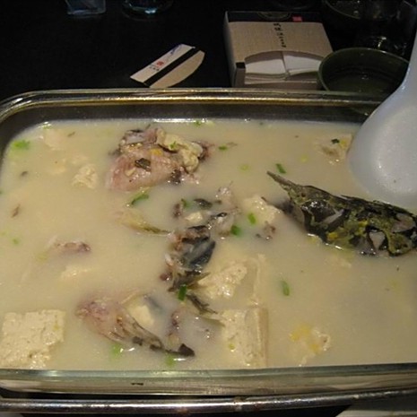 二道江龍魚店：二道江有賣龍魚的嗎