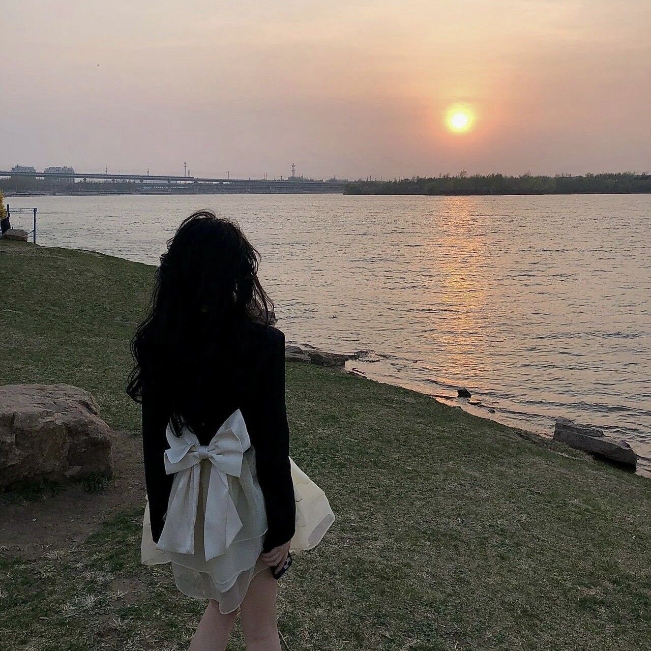 火箭魚能養(yǎng)多大的魚：三間火箭魚飼養(yǎng)全攻略