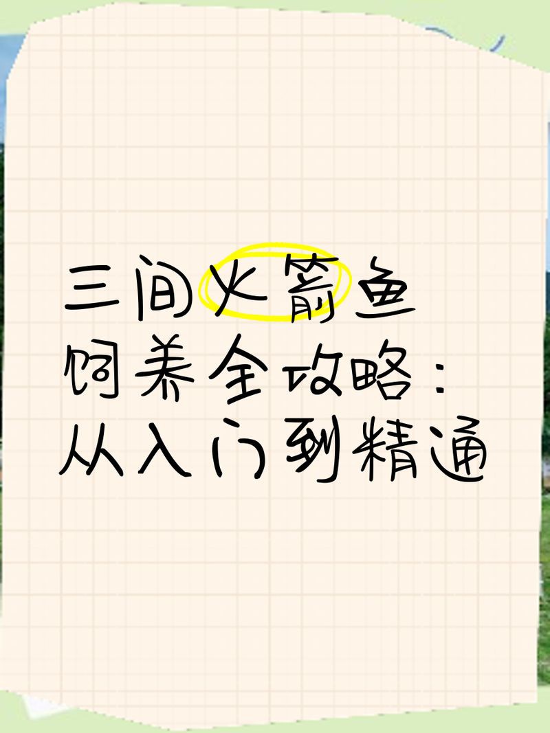 火箭魚能養(yǎng)多大的魚：三間火箭魚飼養(yǎng)全攻略