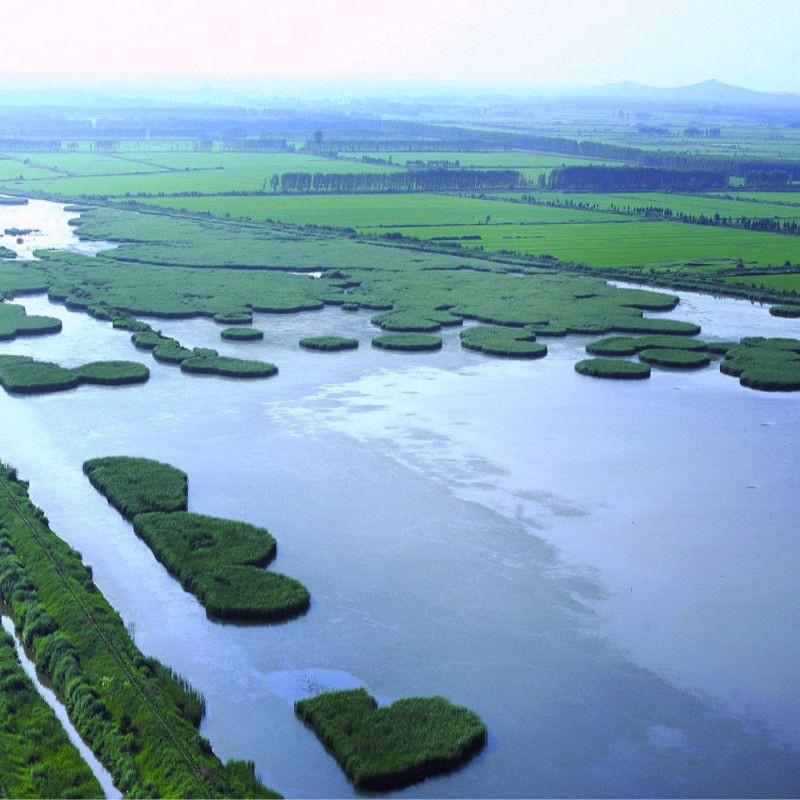 牡丹江15個農場名單：牡丹江管理局下屬農場名單 牡丹江15個農場名單：牡丹江管理局下屬農場名單 龍魚百科 第3張