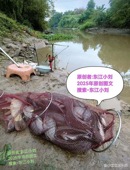 上供魚頭朝向正確圖：上供時魚頭朝向的禮儀規范