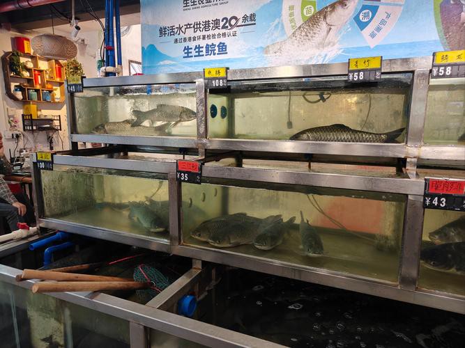 上供魚頭朝向正確圖：上供時魚頭朝向的禮儀規范