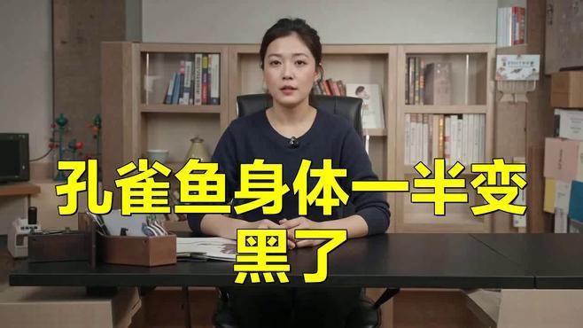 孔雀魚下半截發黑要警惕四種病：孔雀魚下半截發黑可能是以下四種疾病的信號
