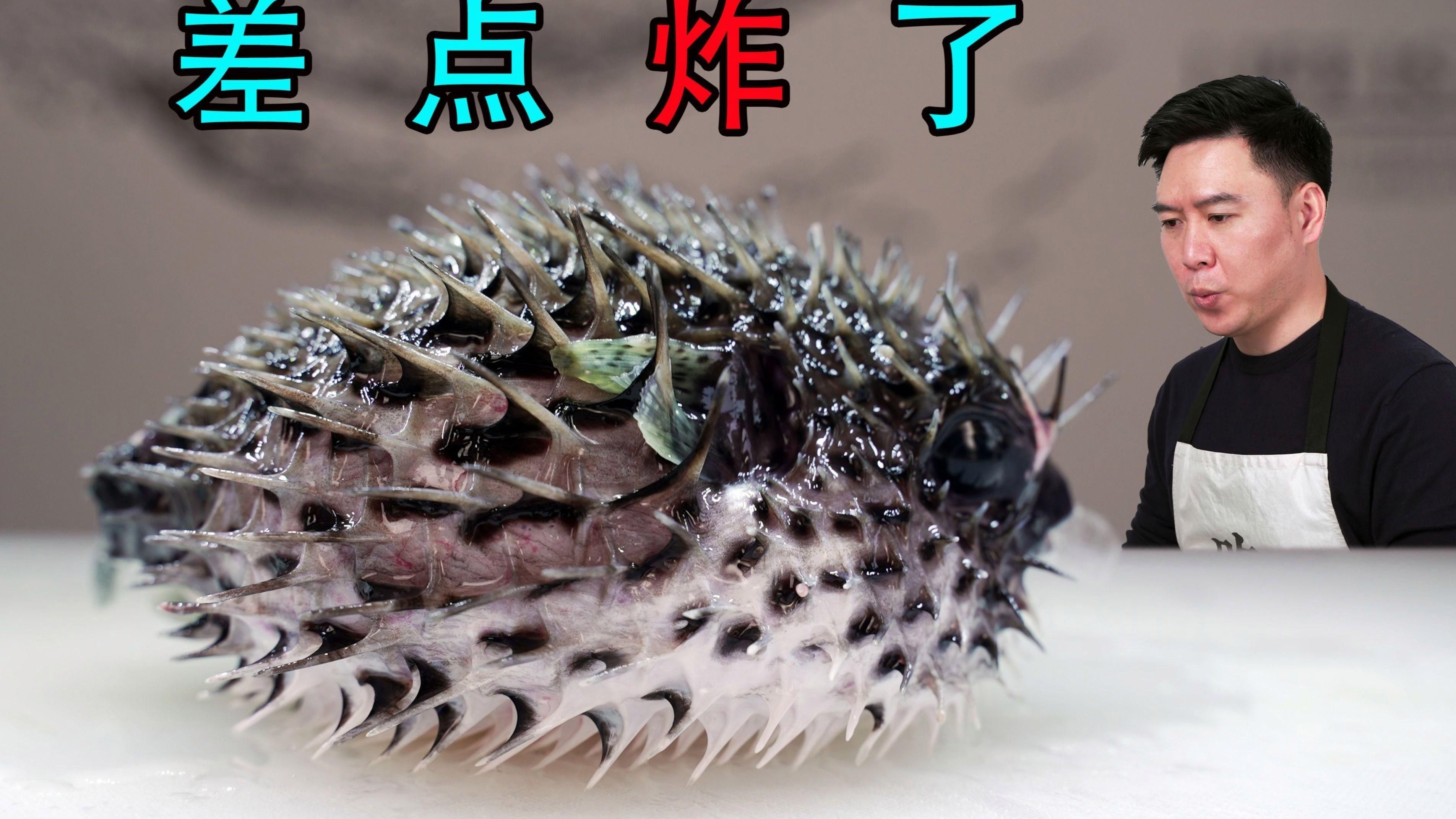 開箱淘汰魚撿漏：嗶哩嗶哩今天買了五百塊的淘汰魚，真是撿了個大漏啦