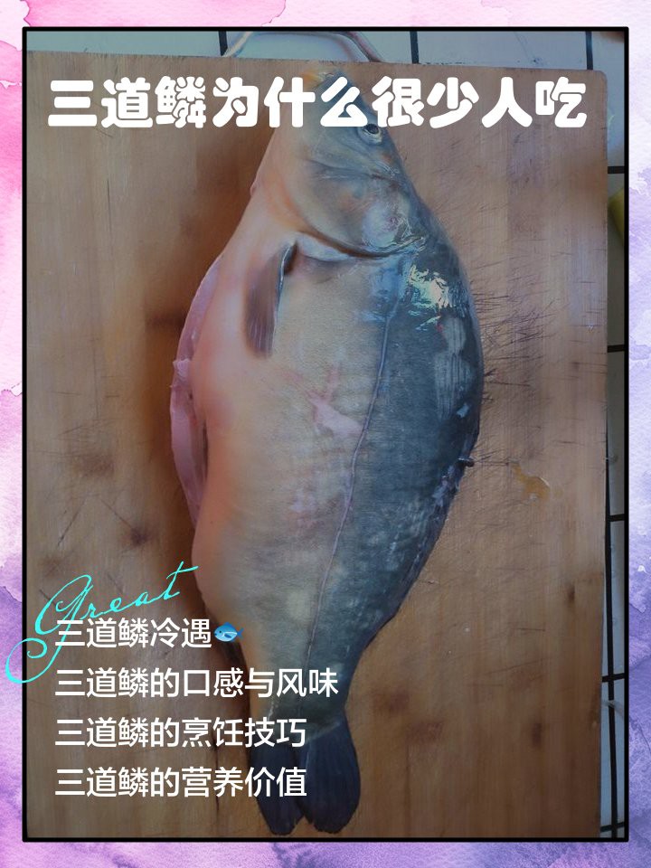 三道鱗魚市場多少錢一斤：2025年三道鱗魚價格現狀及影響因素分析