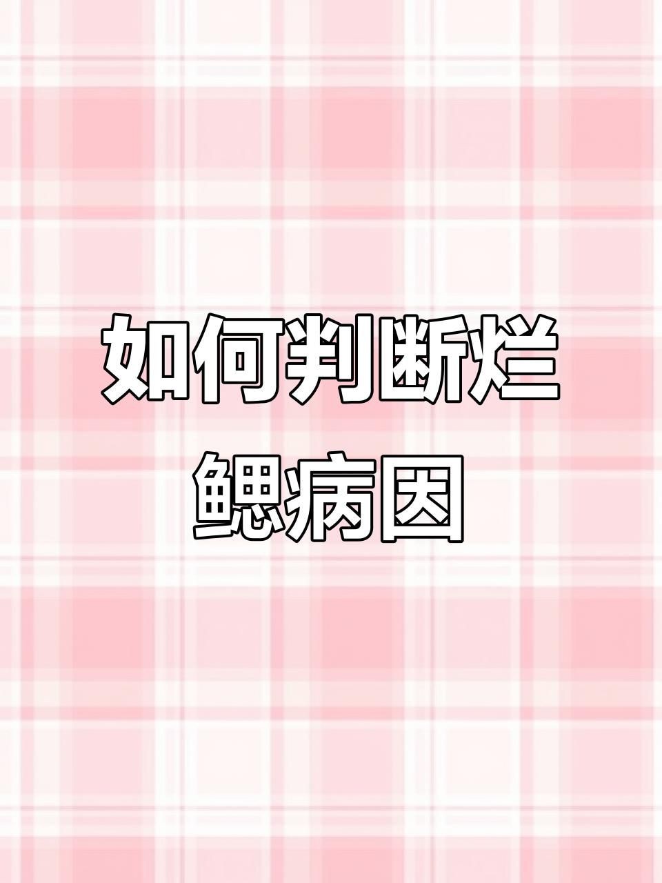 如何判斷龍魚鰓蓋腐爛是由什么引起的？：魚鰓爛了是什么病