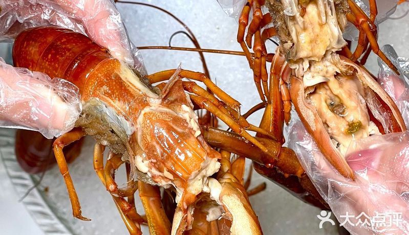 上海龍魚店：上海龍魚相關商業機構的綜合信息整理_大眾點評