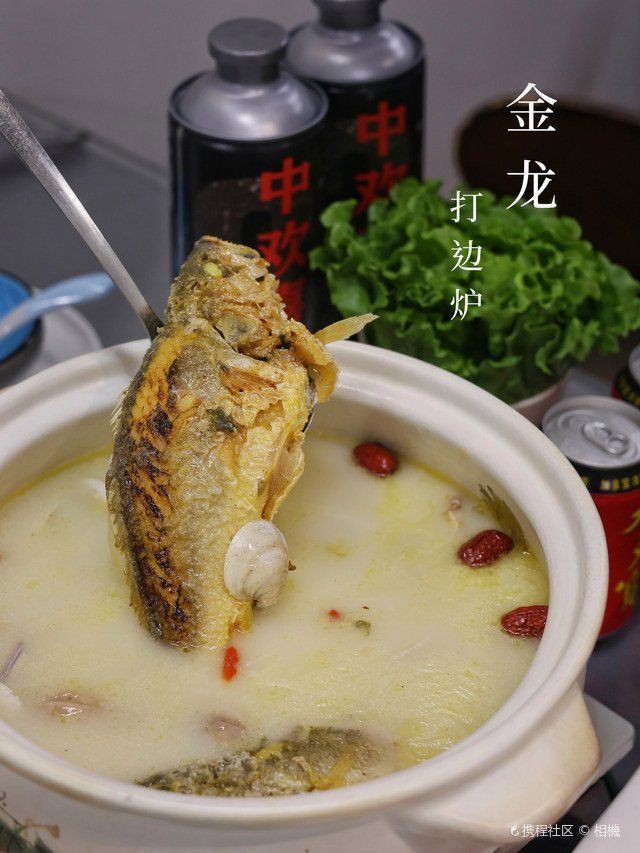 上海龍魚店：上海龍魚相關商業機構的綜合信息整理_大眾點評