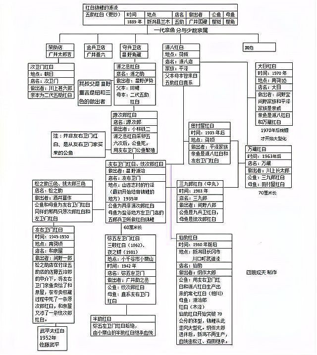 丹頂白寫錦鯉的寓意：丹頂白寫的文化