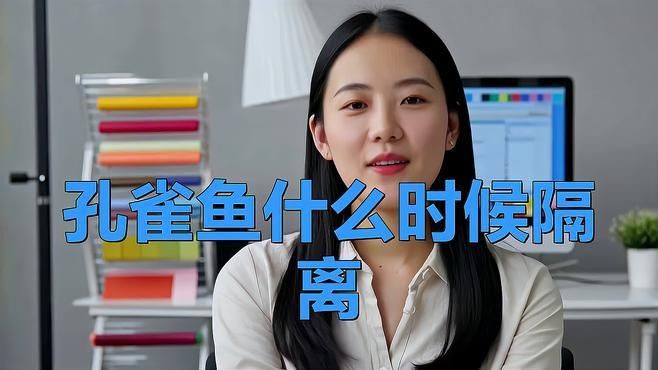 孔雀魚母魚隔離早了：孔雀魚母魚過早隔離好嗎