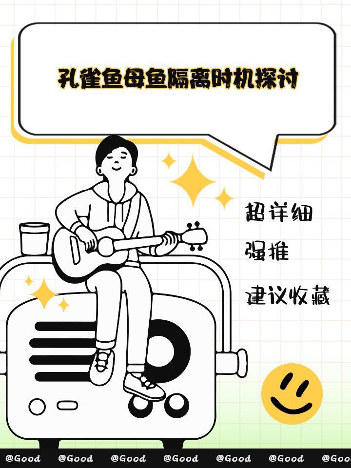 孔雀魚母魚隔離早了：孔雀魚母魚過早隔離好嗎