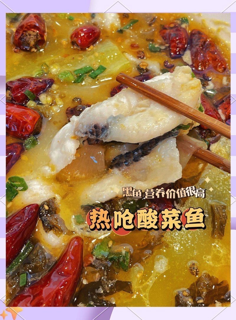石家莊龍魚店：和興龍魚石家莊加盟店：攜手共贏，再創輝煌！