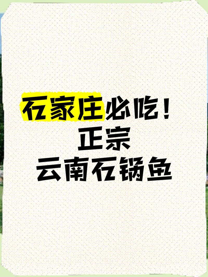 石家莊龍魚店：和興龍魚石家莊加盟店：攜手共贏，再創輝煌！
