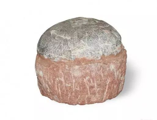 恐龍蛋化石的最新價格：恐龍蛋化石價格大揭秘 恐龍蛋化石的最新價格：恐龍蛋化石價格大揭秘 龍魚百科 第6張