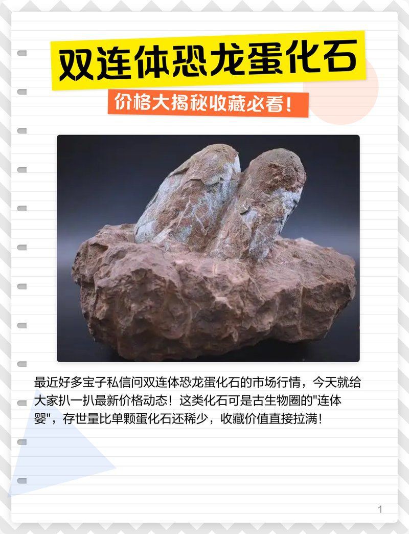 恐龍蛋化石的最新價格：恐龍蛋化石價格大揭秘 恐龍蛋化石的最新價格：恐龍蛋化石價格大揭秘 龍魚百科 第5張