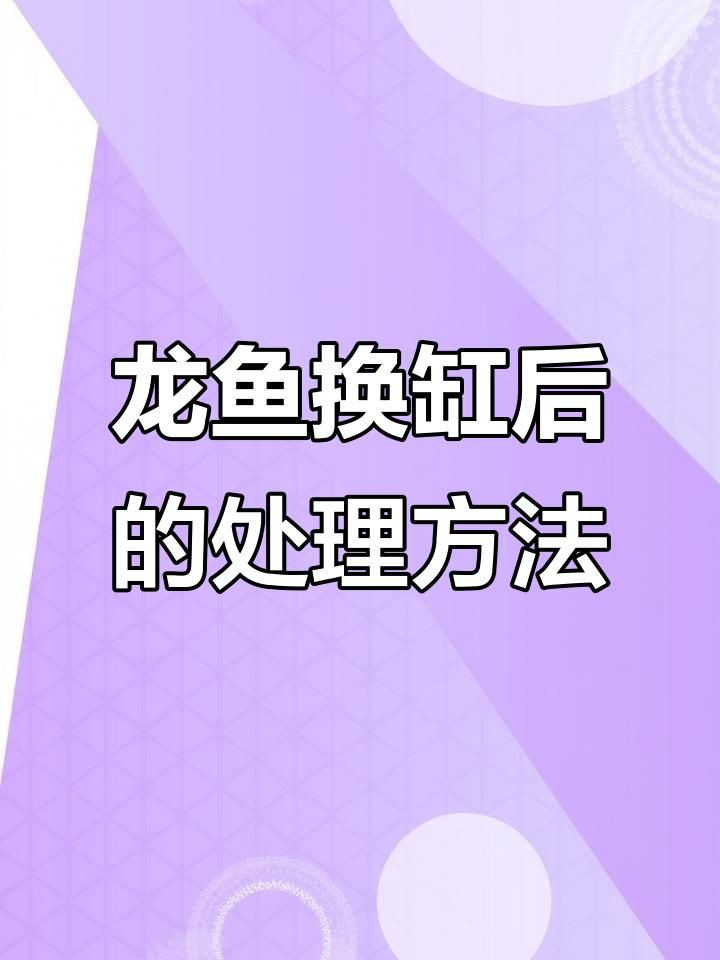 如何預防龍魚水霉病的發生？：智能模式回答完成調用工具：百度健康預防龍魚水霉病