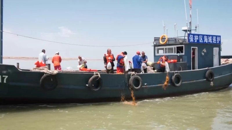 利津龍魚店：利津縣有沒有龍魚店 利津龍魚店：利津縣有沒有龍魚店 全國水族館企業名錄 第3張