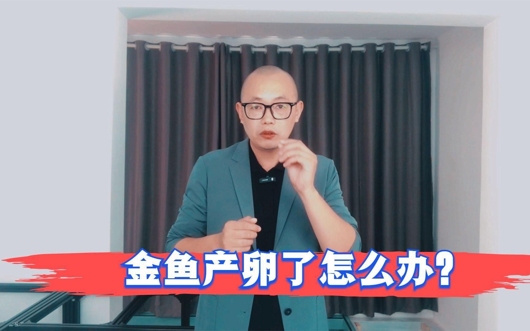 懷孕金魚需要特殊飼料嗎?:金魚懷孕了怎么辦 龍魚百科 第3張 懷孕金魚需要特殊飼料嗎?:金魚懷孕了怎么辦 懷孕金魚需要特殊飼料嗎?:金魚懷孕了怎么辦 龍魚百科 第3張