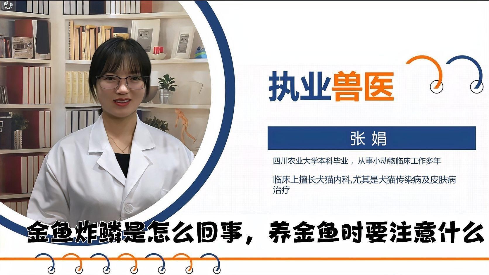 如何預(yù)防金魚炸鱗病的發(fā)生？：如何預(yù)防金魚炸鱗病