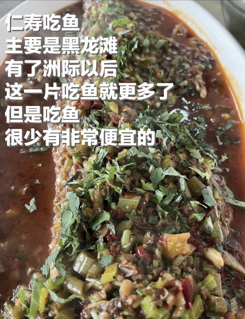 眉山龍魚店：關(guān)于眉山地區(qū)龍魚及相關(guān)餐飲、養(yǎng)殖產(chǎn)業(yè)綜合信息整理分析