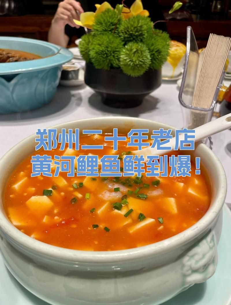 鄭州龍魚店：鄭州龍魚產業觀察