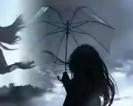 淮安魚缸店：關于淮安魚缸店的綜合信息整理