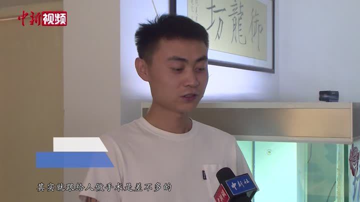 有哪些常見的紅龍魚苗美容手術？：天貝兄閑談,給龍魚“整容”是什么體驗