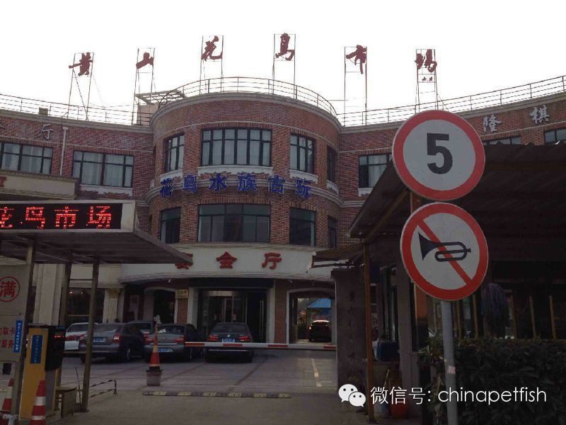本溪水族批發(fā)市場(chǎng)：關(guān)于本溪市水族批發(fā)市場(chǎng)的綜合信息整理