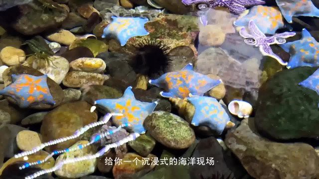 南部水族店：法國南部之旅·努美阿水族館探秘