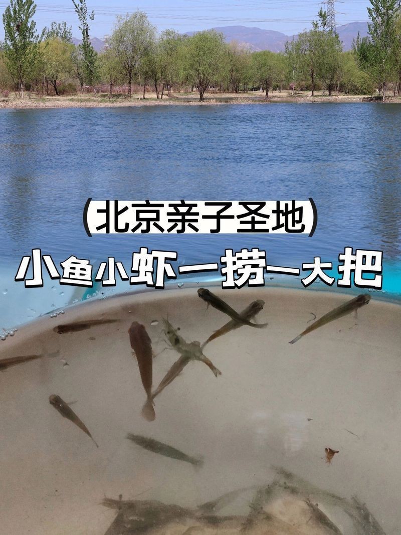 撈小魚小蝦：北京撈小魚小蝦的地點、工具和體驗綜合信息：06:00