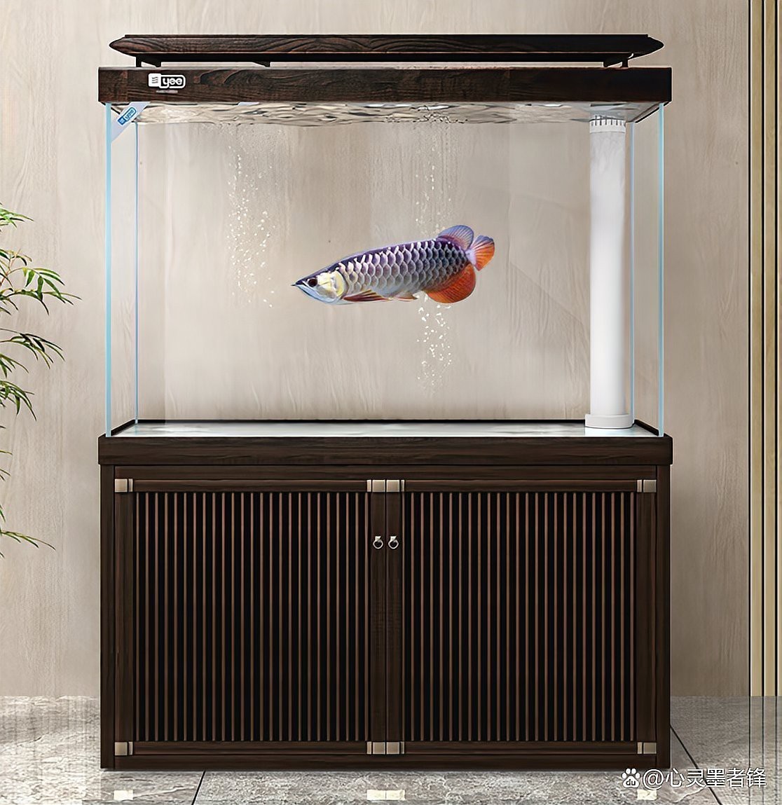 世界水族品牌排行：全球水族品牌全景圖及牌照