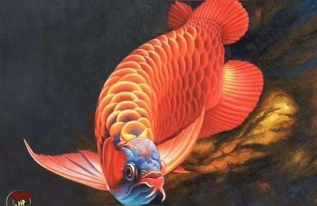 晉城龍魚店：開個龍魚店利潤怎么樣 晉城龍魚店：開個龍魚店利潤怎么樣 全國水族館企業名錄 第1張