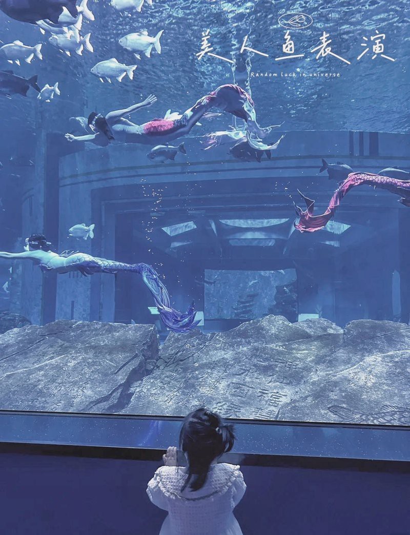 九江水族店：九江水族館體系主要包含以下幾個特色場館