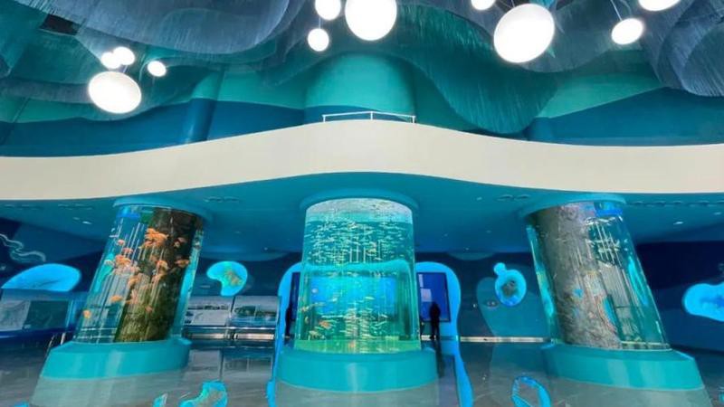 九江水族店：九江水族館體系主要包含以下幾個特色場館