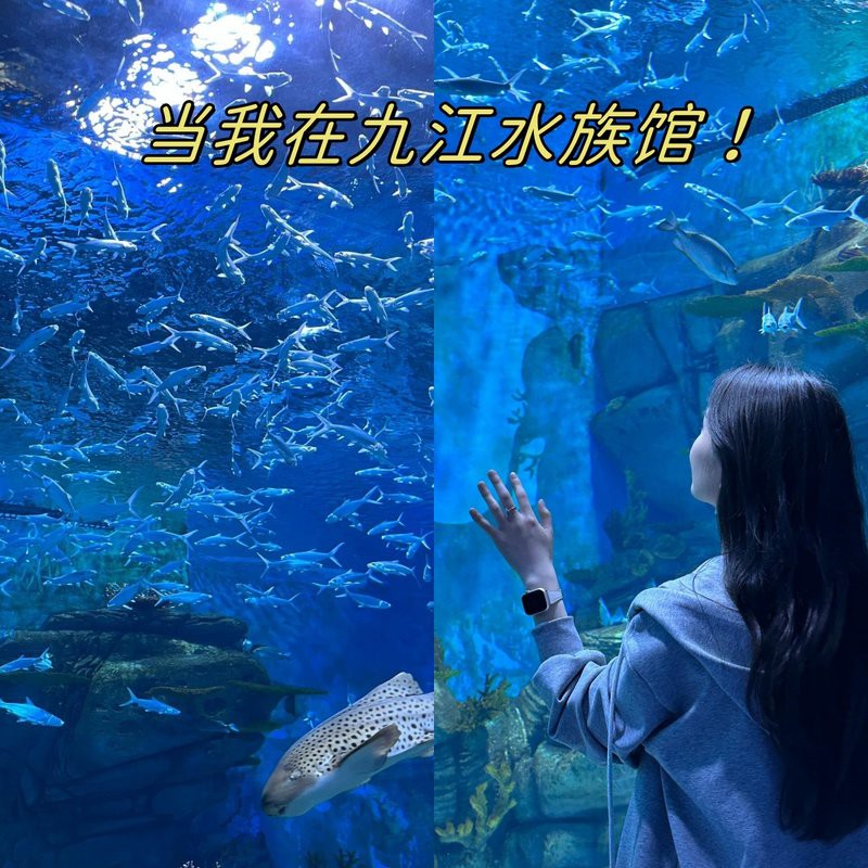 九江水族店：九江水族館體系主要包含以下幾個特色場館