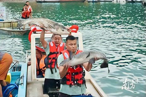 東源龍魚店：東源縣龍魚產業及周邊
