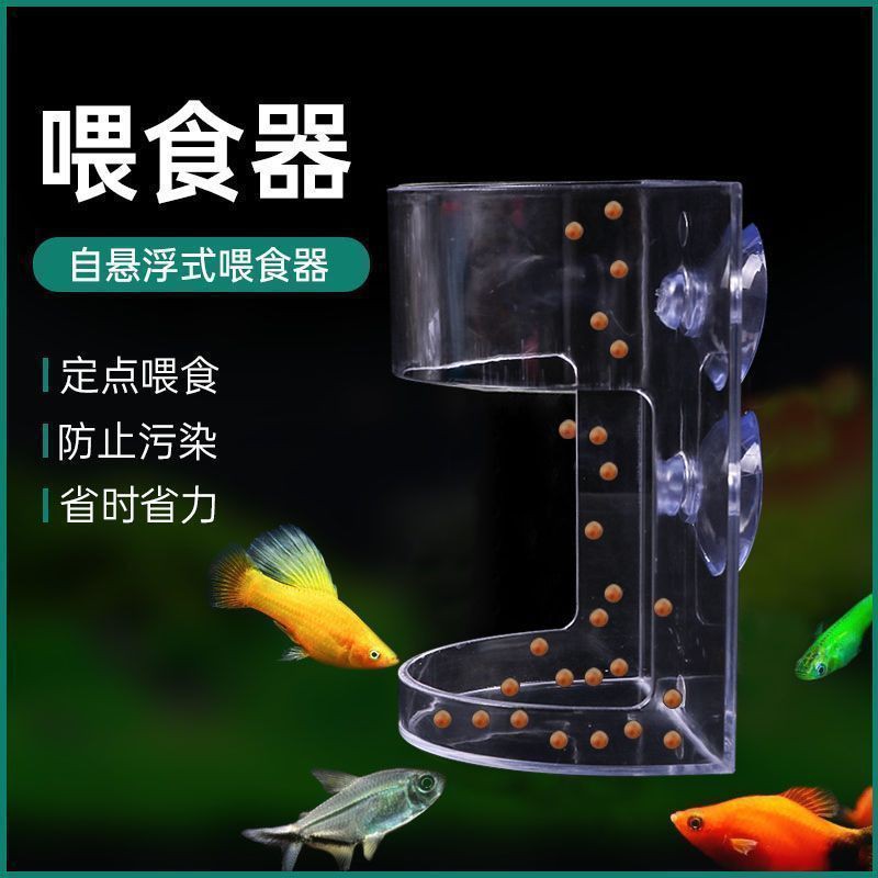 孔雀龍魚喂食勺：孔雀魚怎么養(yǎng)到爆缸