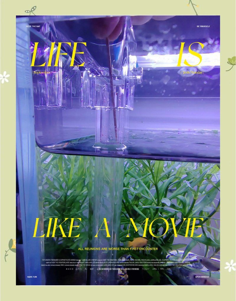 孔雀龍魚喂食勺：孔雀魚怎么養(yǎng)到爆缸