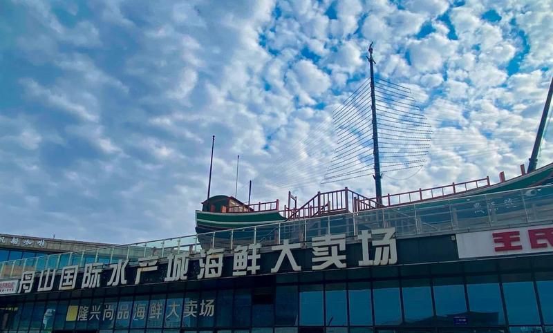 舟山魚缸批發(fā)市場：舟山國際水產(chǎn)城——中國第一魚市